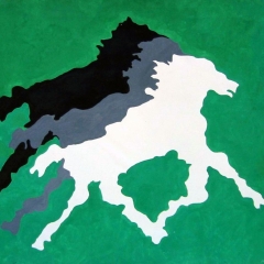 82-001-wild-horses