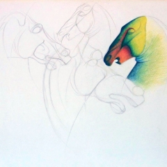 82-014