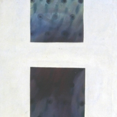 91-004