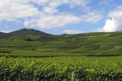 09-hengst-2-pinot-gris