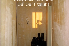 12-tiens-les-revoila-oui-oui-salut