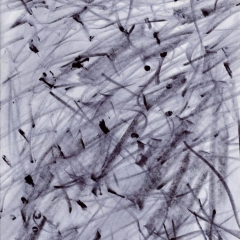 1055