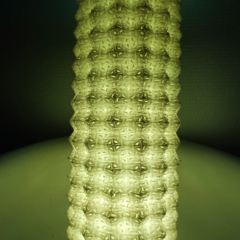 Textiles-Lithophanes-009